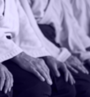 Aikido 8 t/m 12 jaar